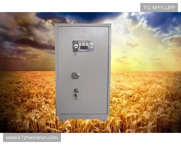 掌握K8凯发手机登录的最佳操作步骤提升游戏体验与账号安全